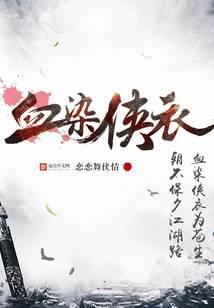 血染侠衣封面
